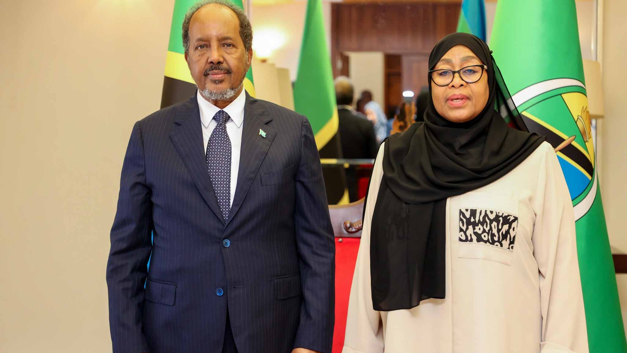 Somalia’s leader meets Tanzanian president