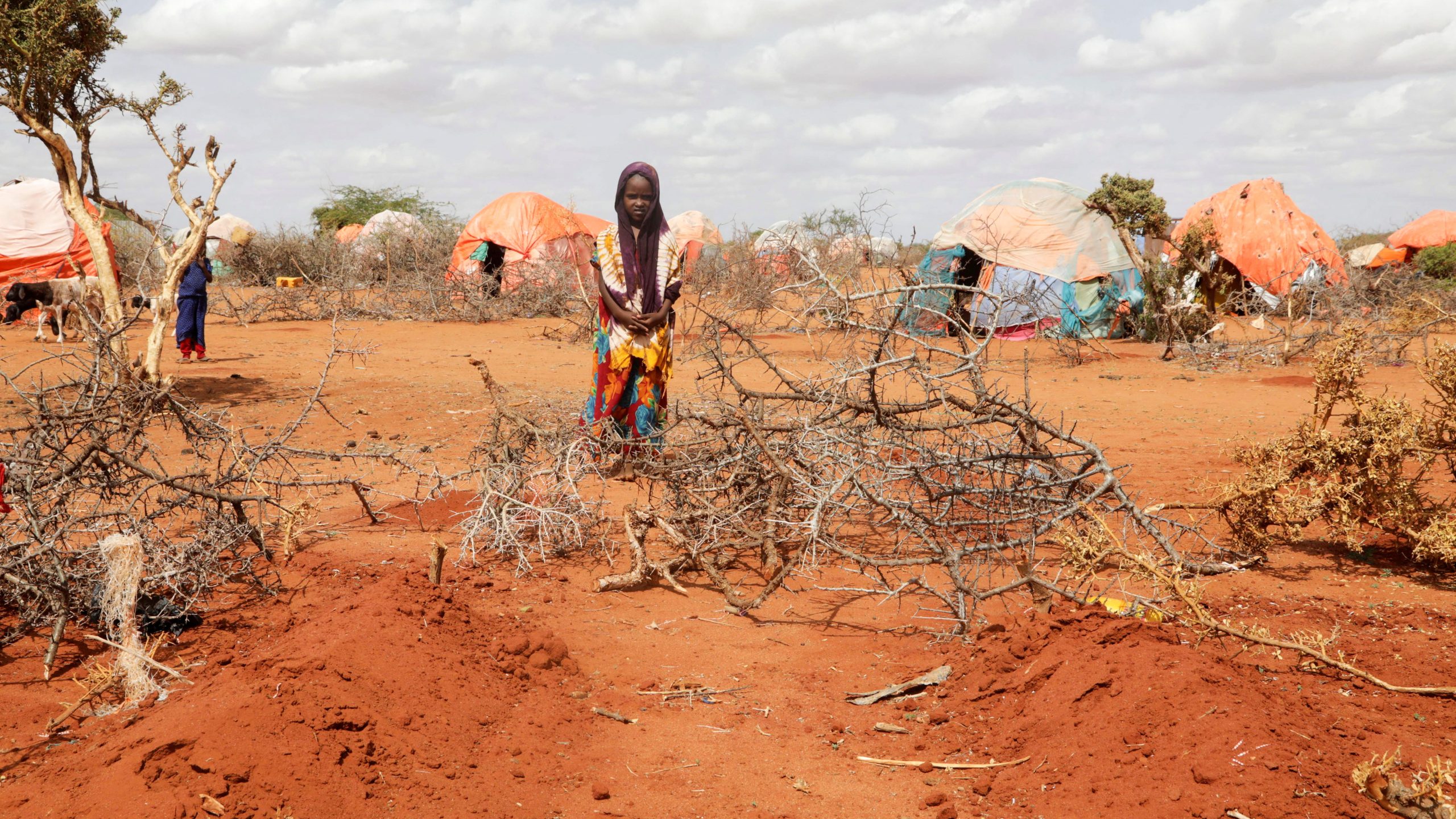 6 million in urgent need of aid as drought impacts 13 regions in Somalia: official